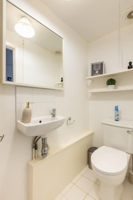 Lovely Garden Flat In Appartement Londen